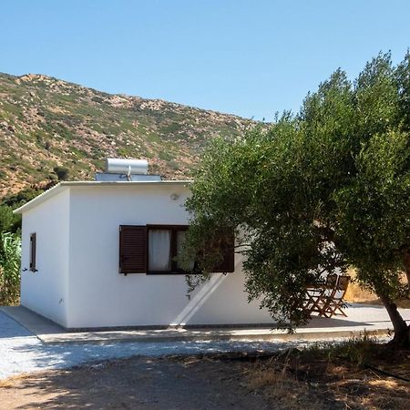 הוילה פלקסטרון Flamingo Colour Valey House מראה חיצוני תמונה