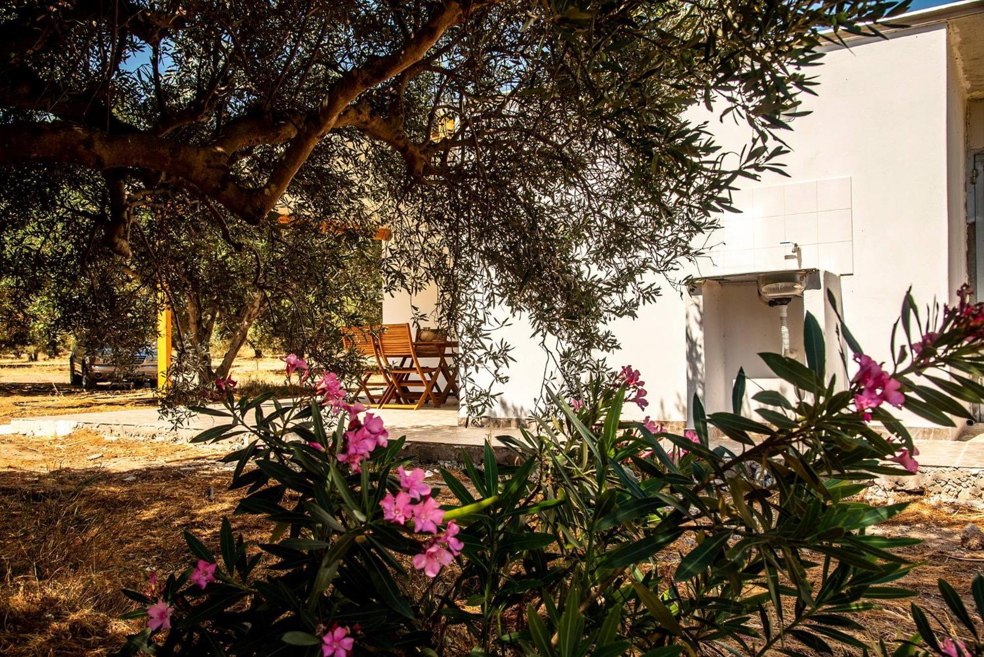 הוילה פלקסטרון Flamingo Colour Valey House מראה חיצוני תמונה